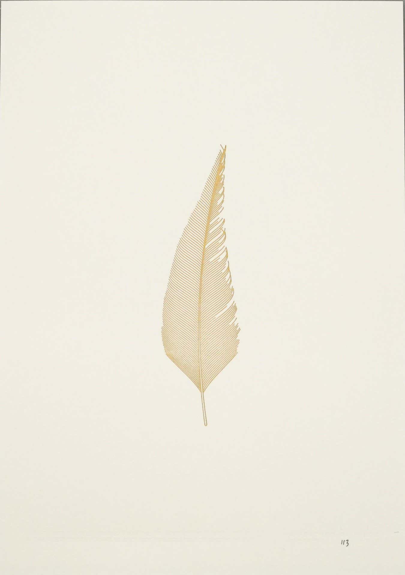 Feather Foiled Print